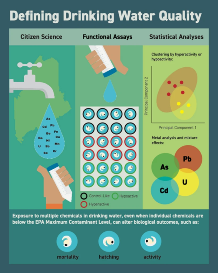 信息图表公民科学