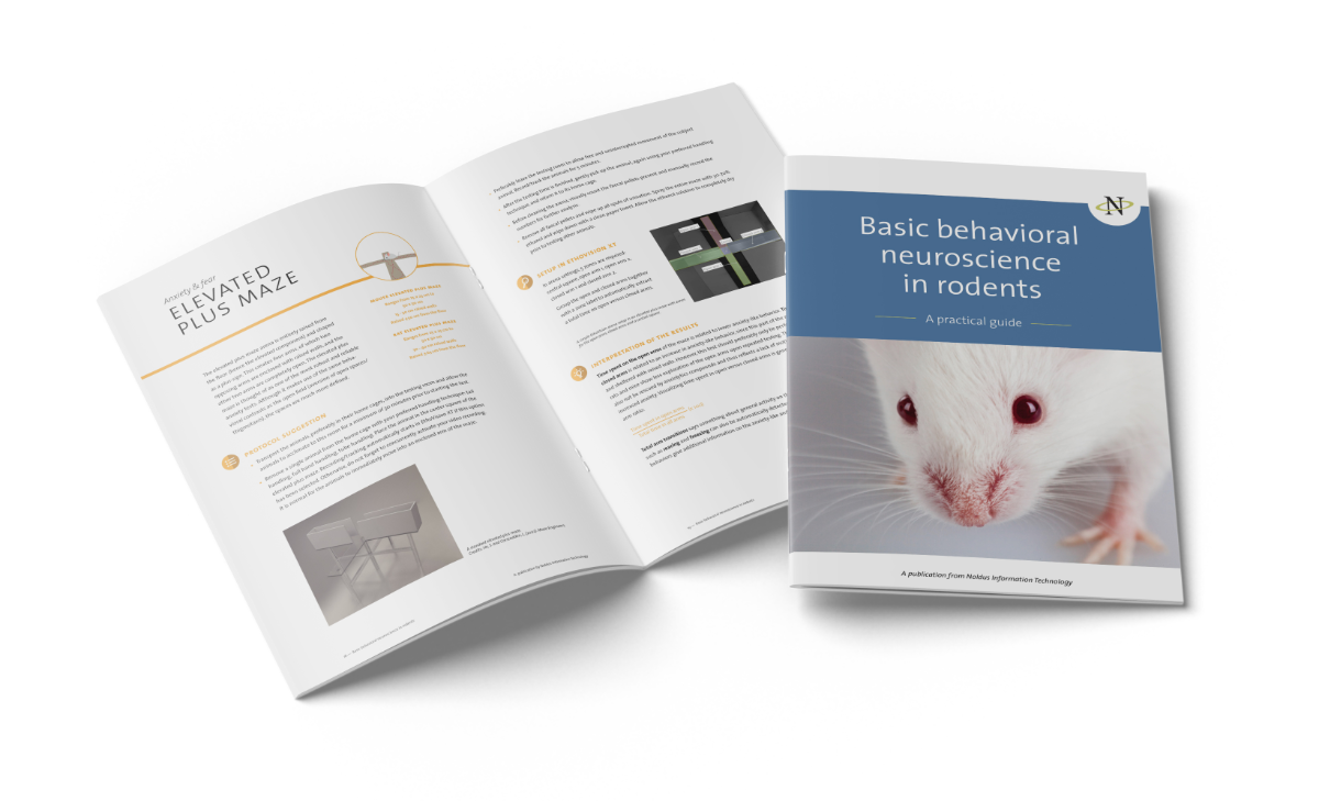 模拟啮齿动物的基本行为神经科学