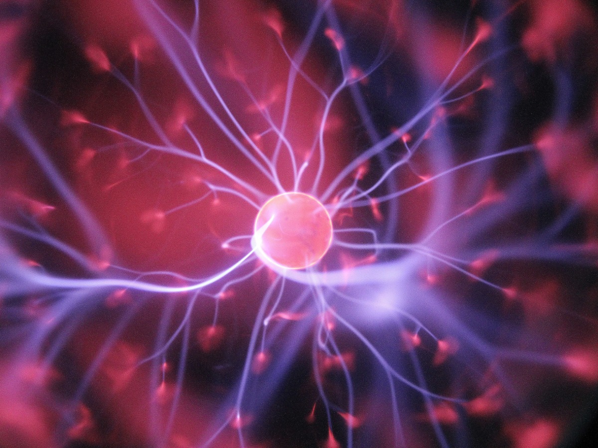 神经科学细胞的连接