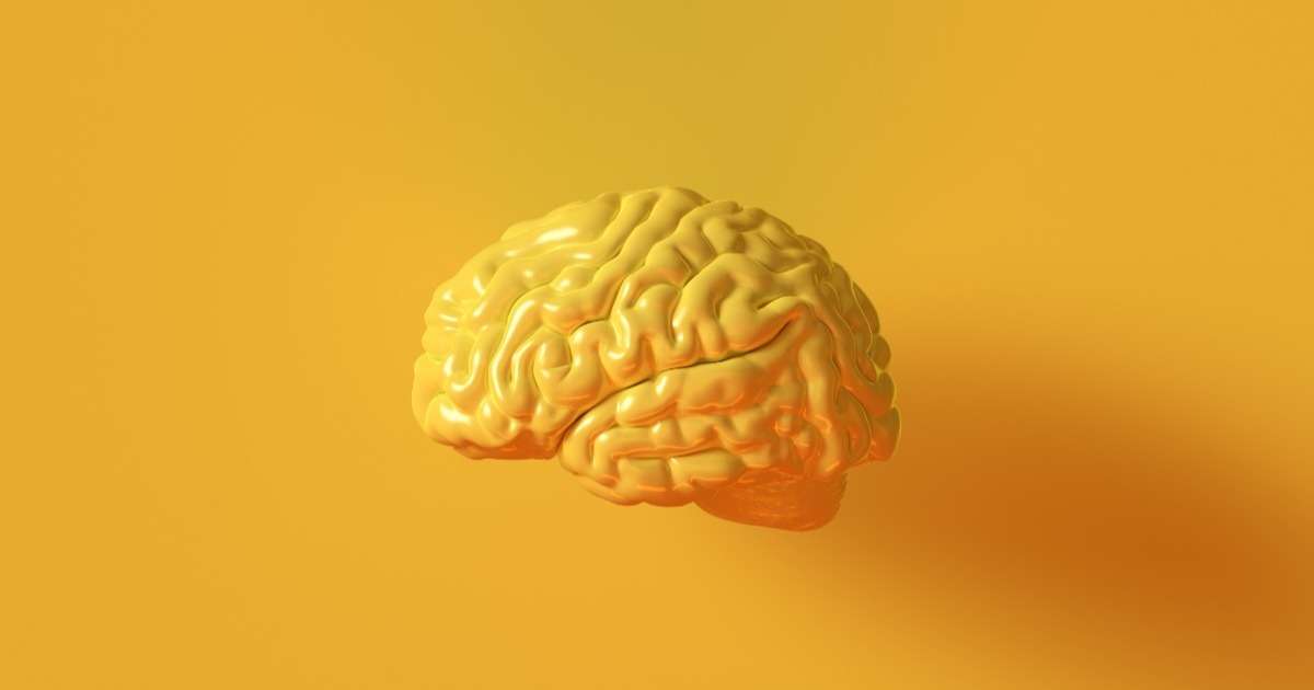 cognitive-neuroscience-basics