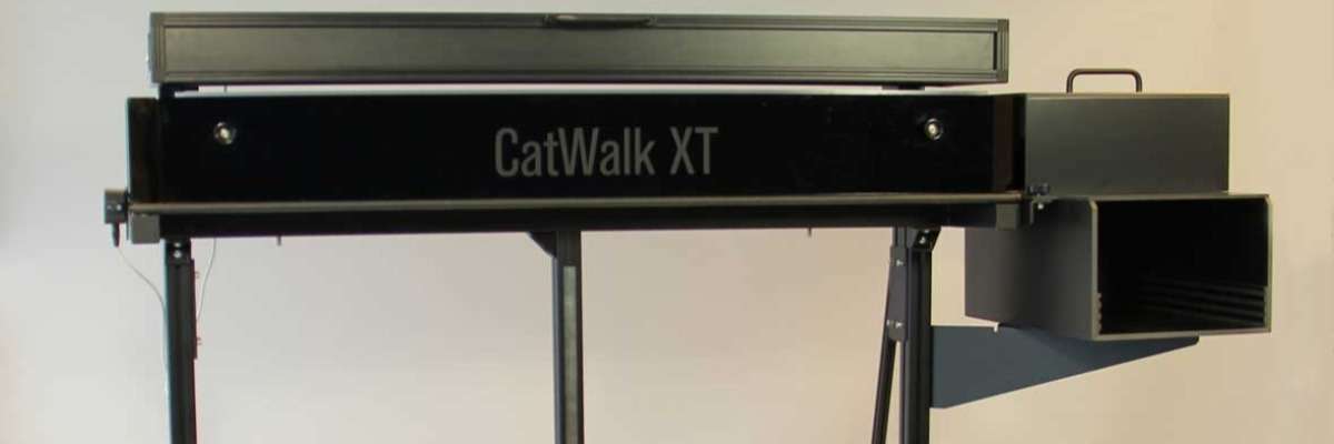 在PSDL中使用CatWalk进行步态分析