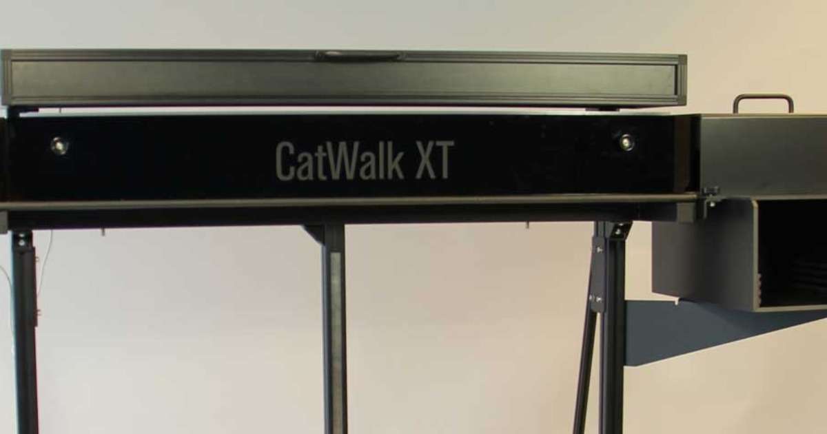 gait-analysis-catwalk-xt